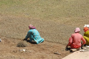 工人在主寺前面的大空地上植草
